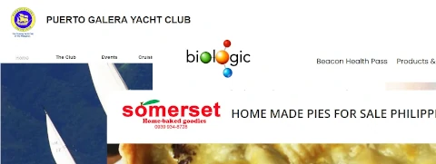 website design and search engine optimization service